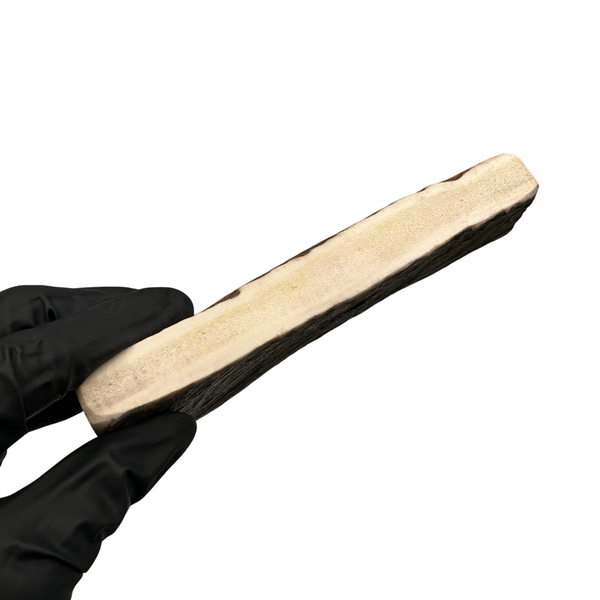 Thicker Moose Paddle (Medium-high Density)