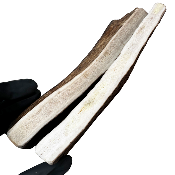 Moose Paddles (Medium-high Density/2 Pack)