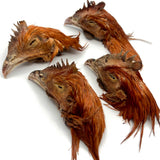 Pastured Chicken Heads (feathered)
