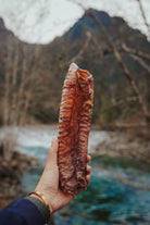 A hand holding a dehydrated bison trachea against a natural backdrop with trees and water in the distance.