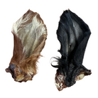Two natural cow ears, one brown and one black, on a white background