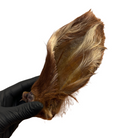 Brown natural cow ear held by a hand wearing a black glove on a white background