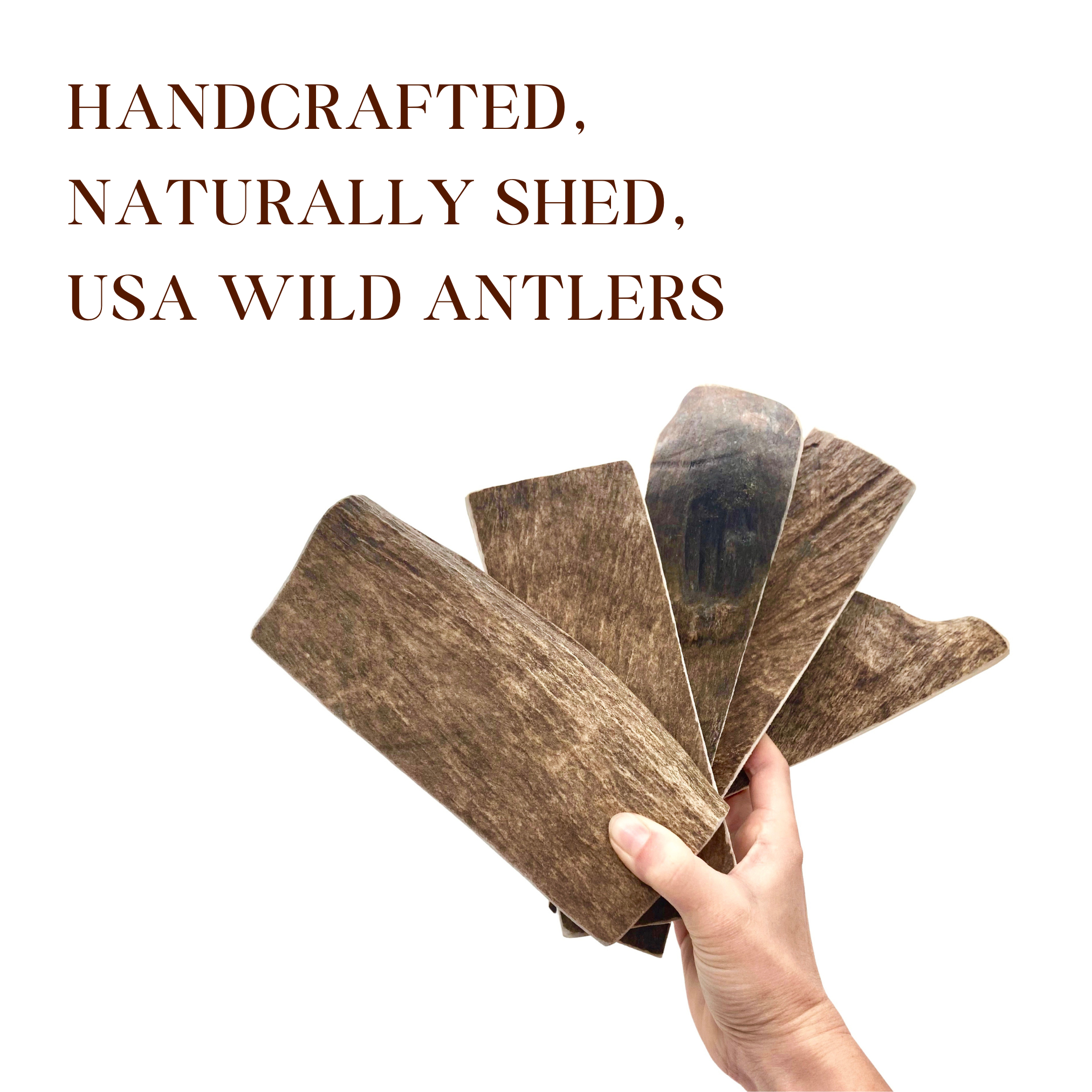 Hand holding 5 moose antler chews below text on a white background