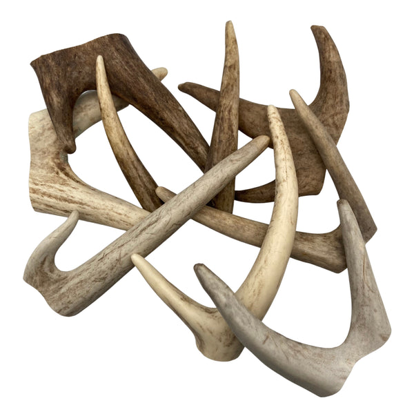 Antler Craft Forks-Great for necklaces and earrings | 8-10 ct.